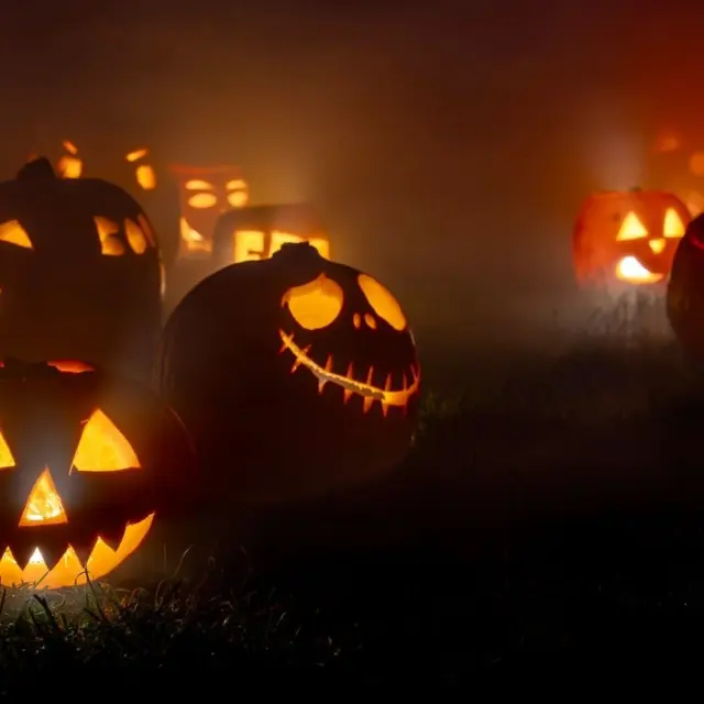 Tacoma Halloween Events Guide